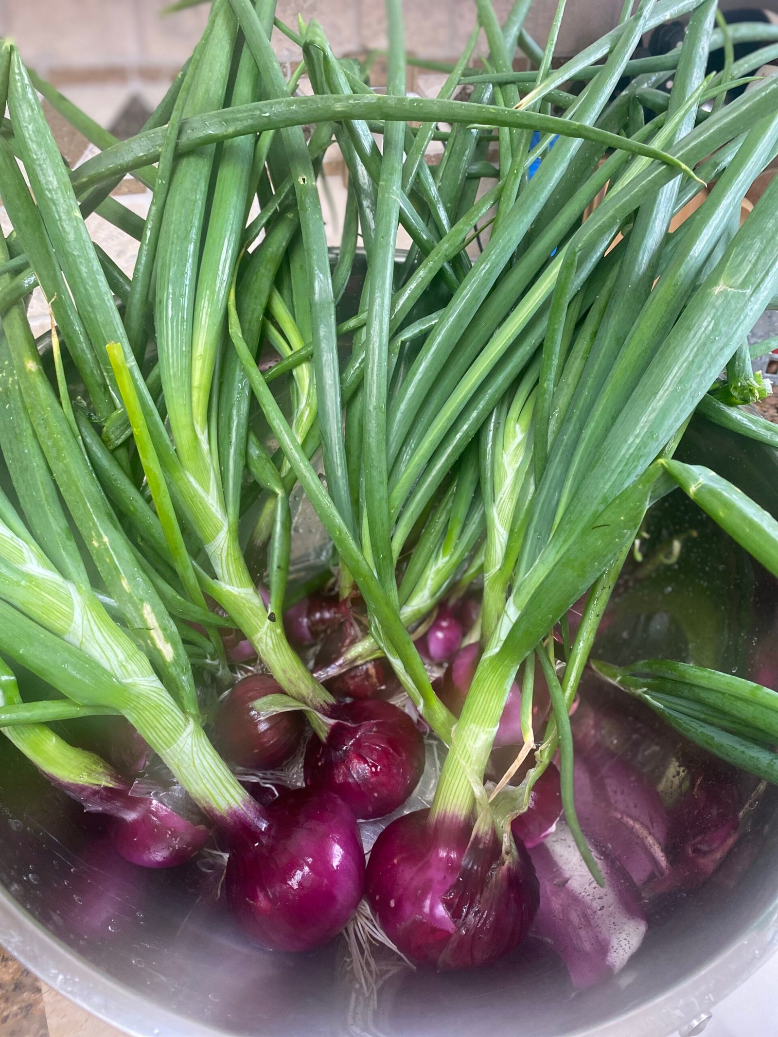 Freshly harvested red onions with green tops from my home garden, highlighting seasonal, homegrown ingredients